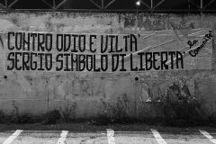 CITTA' NON REPERITA - MURALES